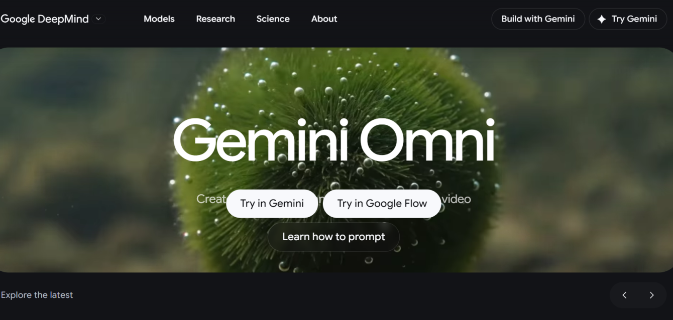 gemini omni gemini omni